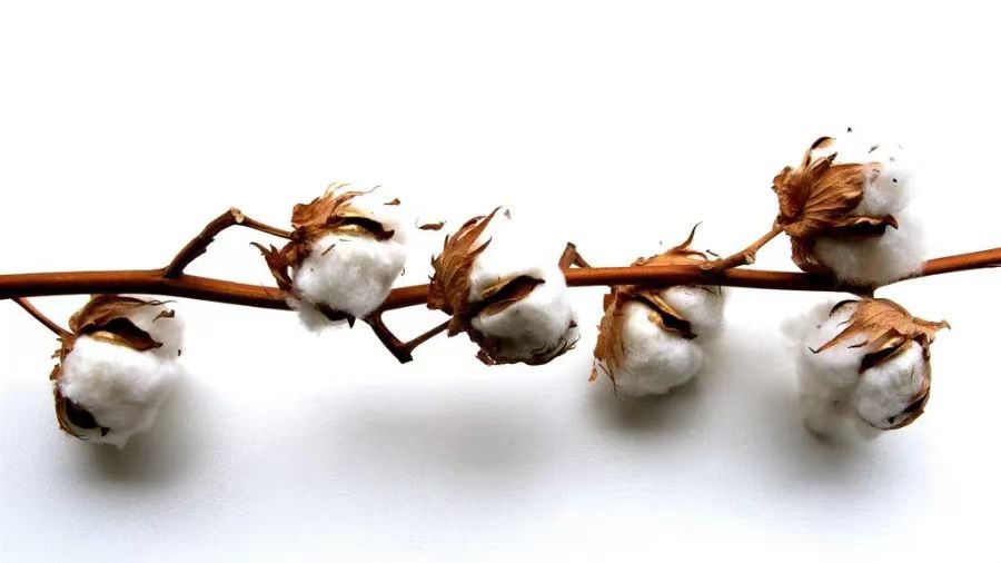 1726652124199401.jpg 1726652124199401.jpg