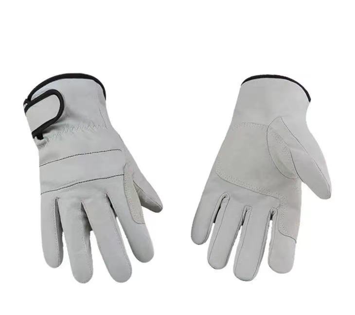 1727401823967069.jpg 1727401823967069.jpg