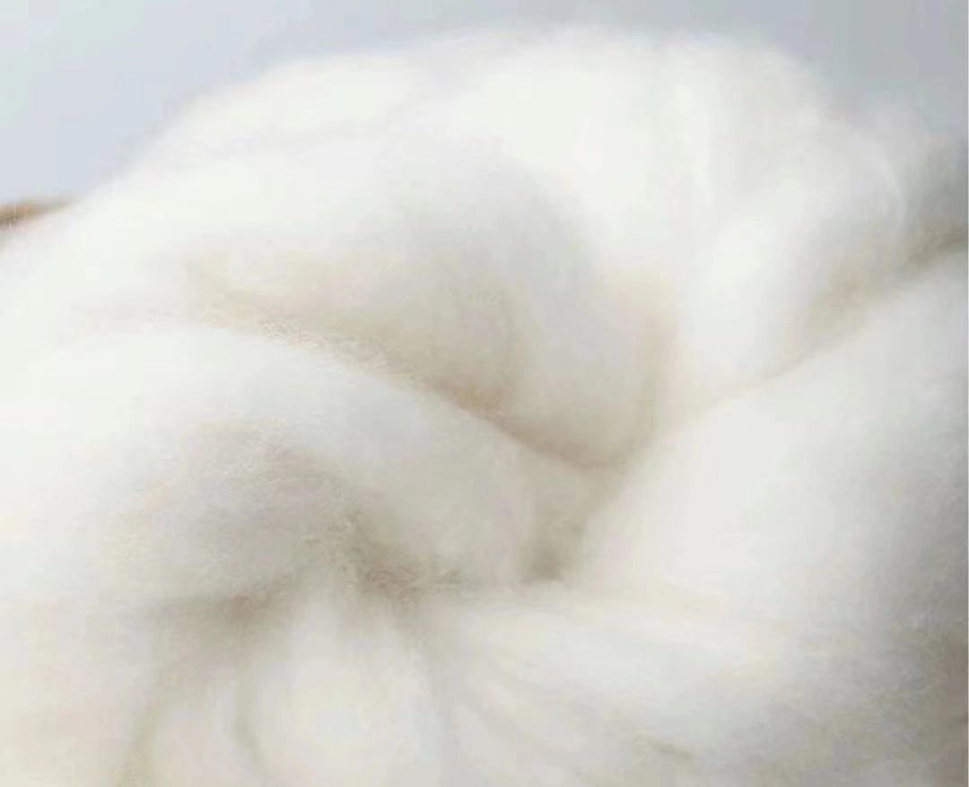 1728522497406198.jpg 1728522497406198.jpg