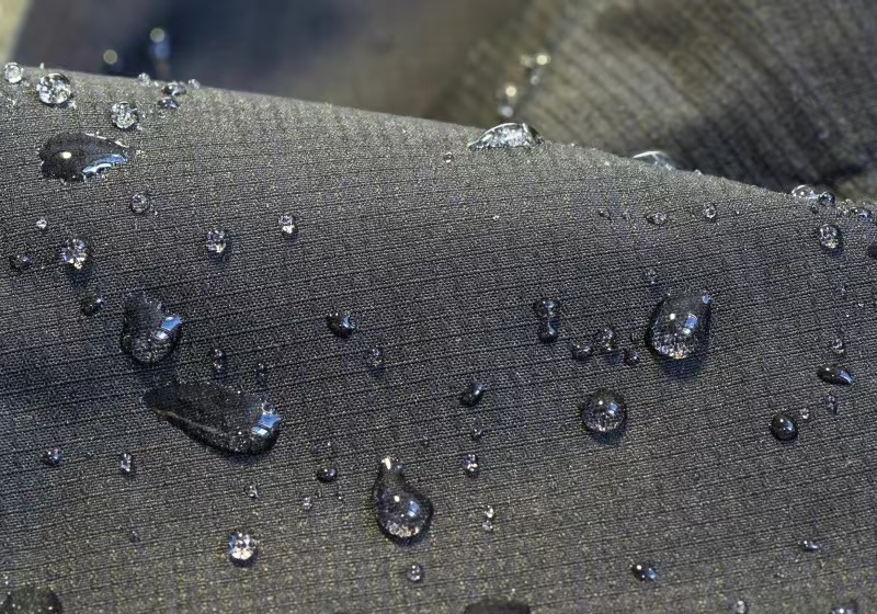 1734596536581586.jpg 1734596536581586.jpg