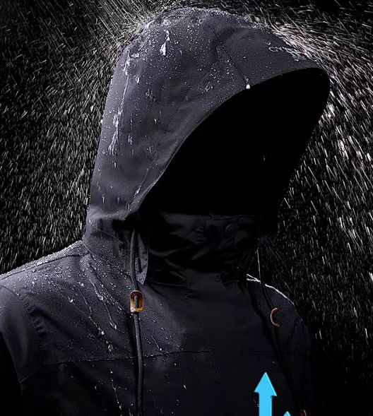 1734596883592587.jpg 1734596883592587.jpg