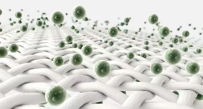 1736305701684065.jpg 1736305701684065.jpg