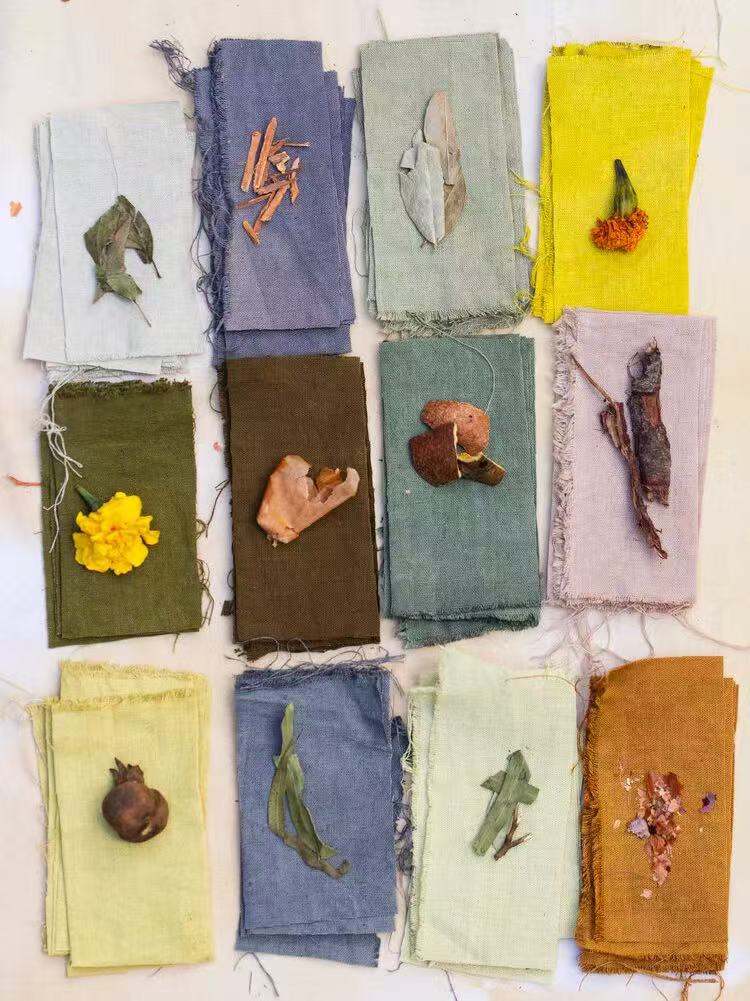 1737010857739032.jpg 1737010857739032.jpg