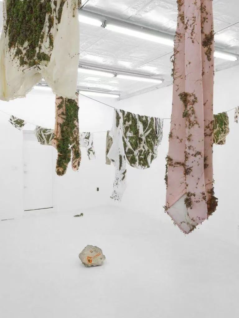 1737010929475146.jpg 1737010929475146.jpg