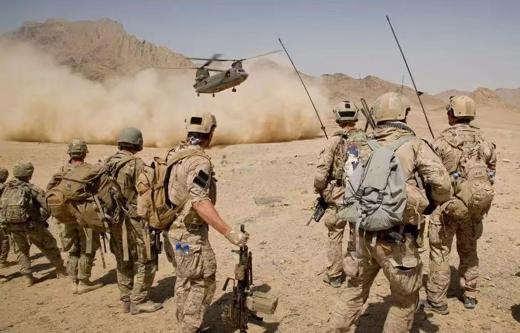 1739419879852498.jpg 1739419879852498.jpg