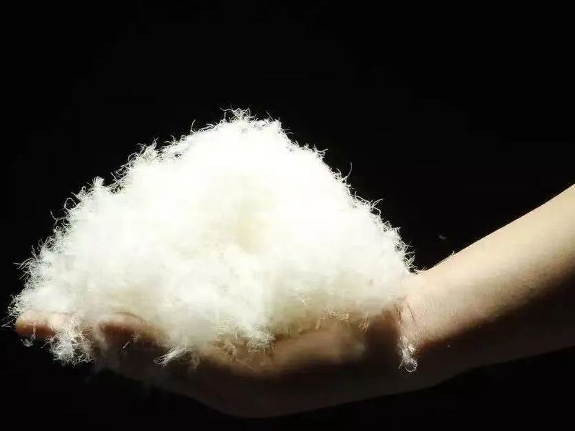 1741915369634805.jpg 1741915369634805.jpg