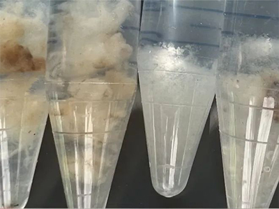 厦门服装博览会 | 比尔•盖茨联手ZARA、H&M 2.3亿投资纺织原料公司