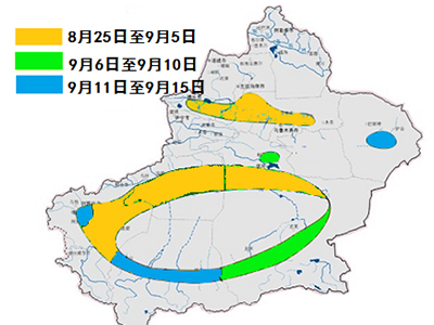 厦门纺织服装设计展|24年新疆棉花吐絮期预报