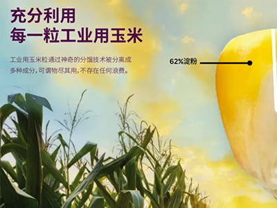 厦门纺织服装设计展 | 从农场到时尚：由一颗玉米开启的脱碳之旅